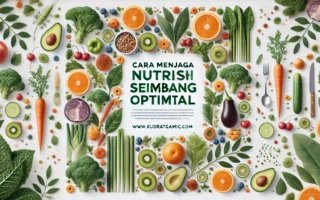 Cara Menjaga Nutrisi Seimbang Optimal 4 Cara Menjaga Nutrisi Seimbang Optimal